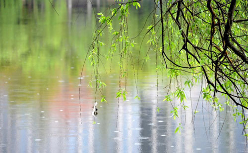 雨中的守護(hù)者 —— 珍珠棉的應(yīng)用實踐